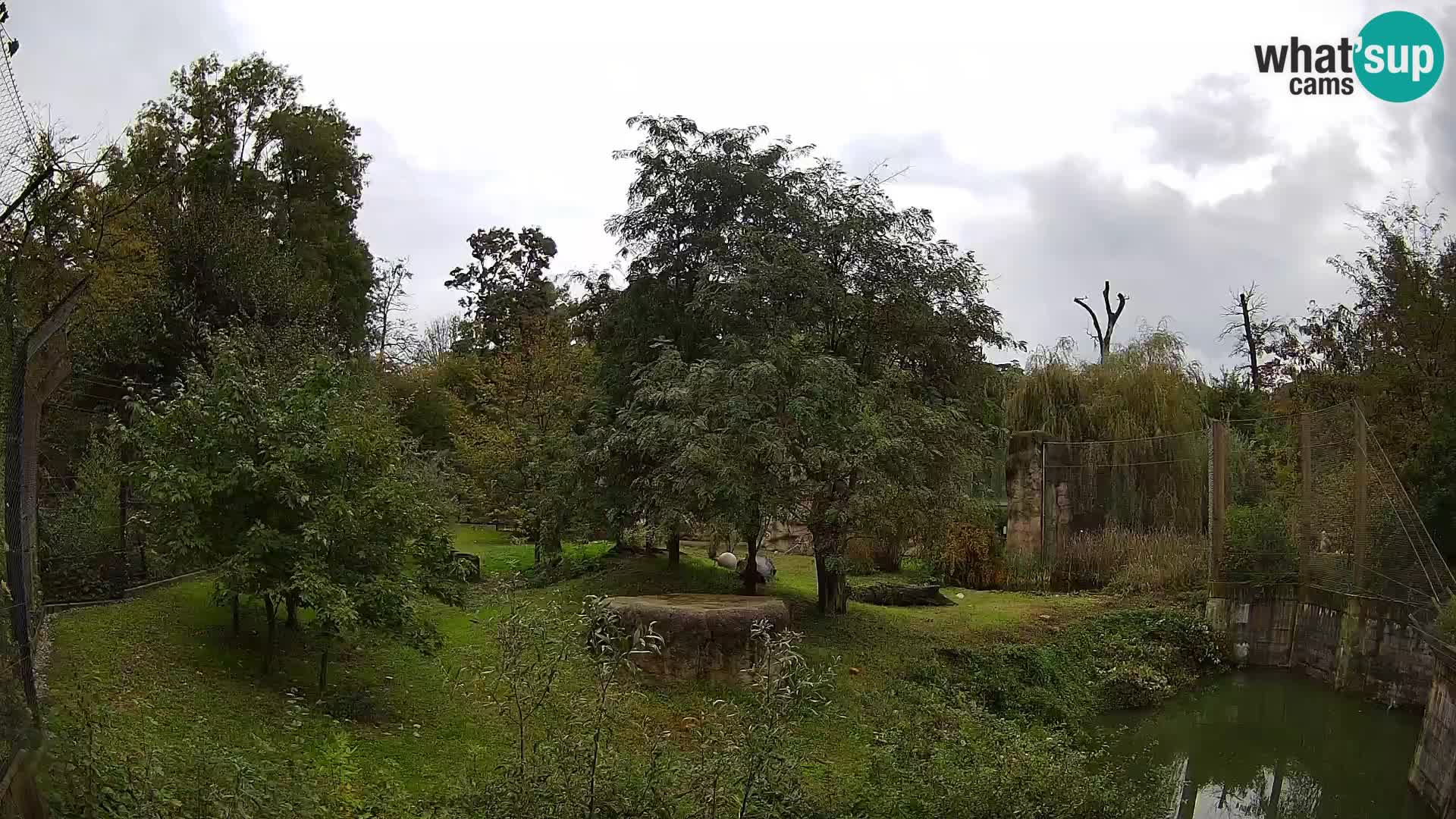 Zoo Zagreb – Löwen