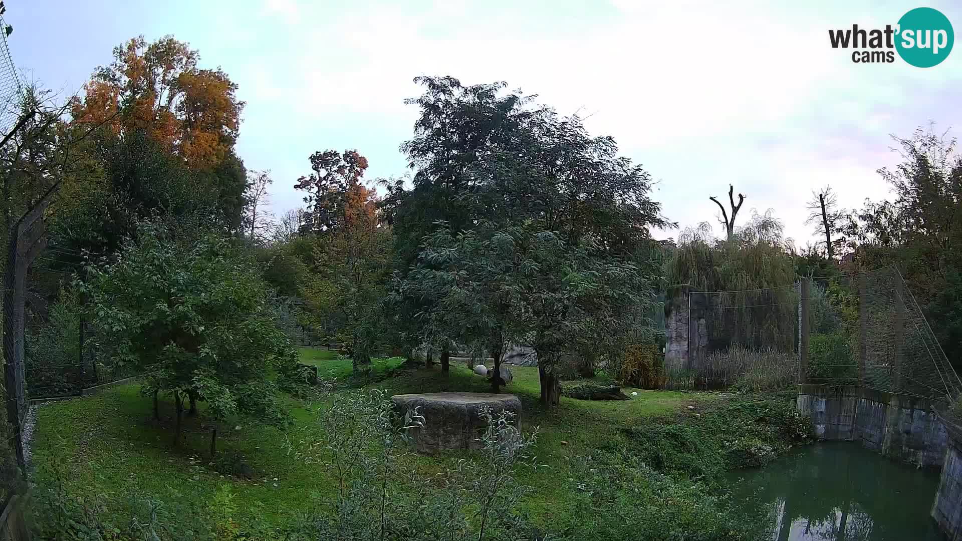 Zoo Zagreb – Löwen