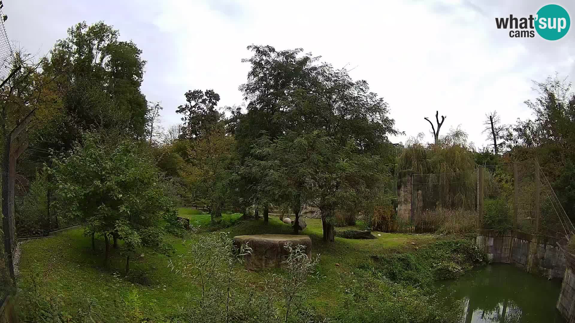 Zoo Zagreb – Leones