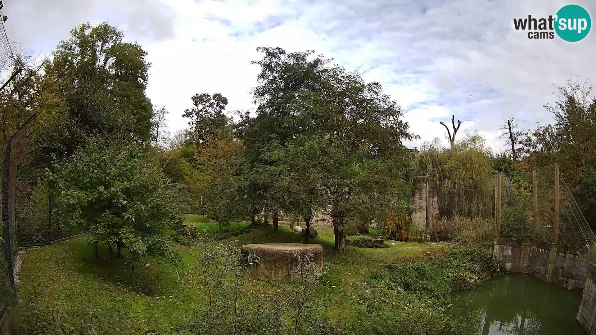 Zoo Zagreb – Leones