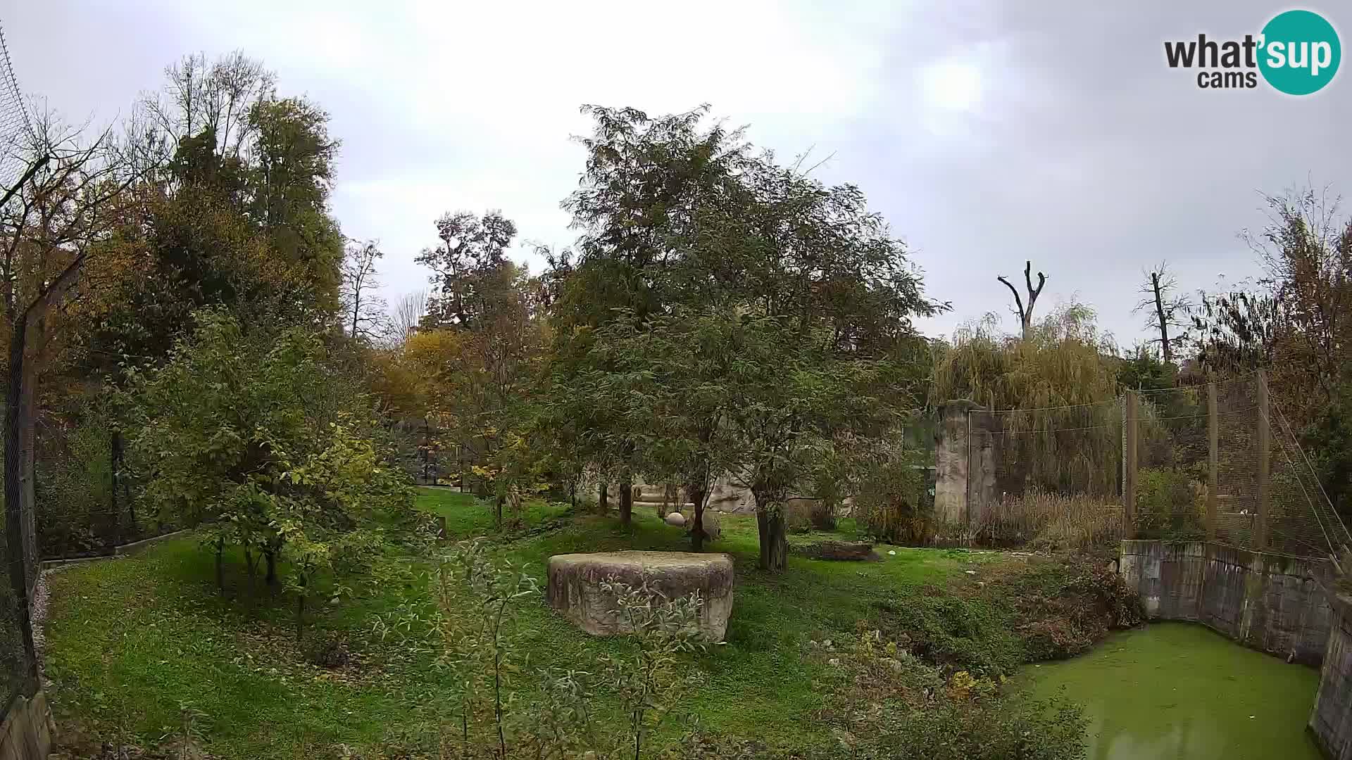 Spletna kamera Zoo Zagreb – Levi