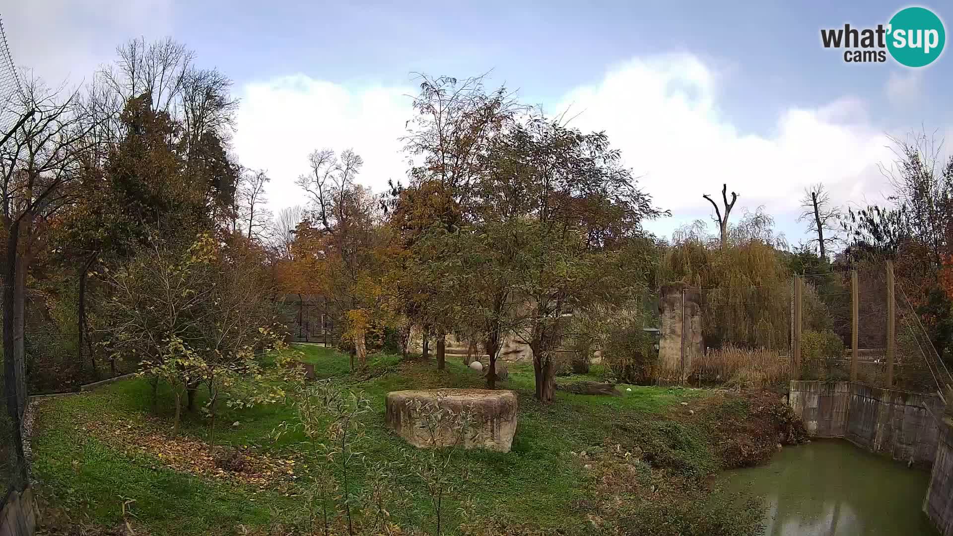 Zoo Zagreb – Löwen