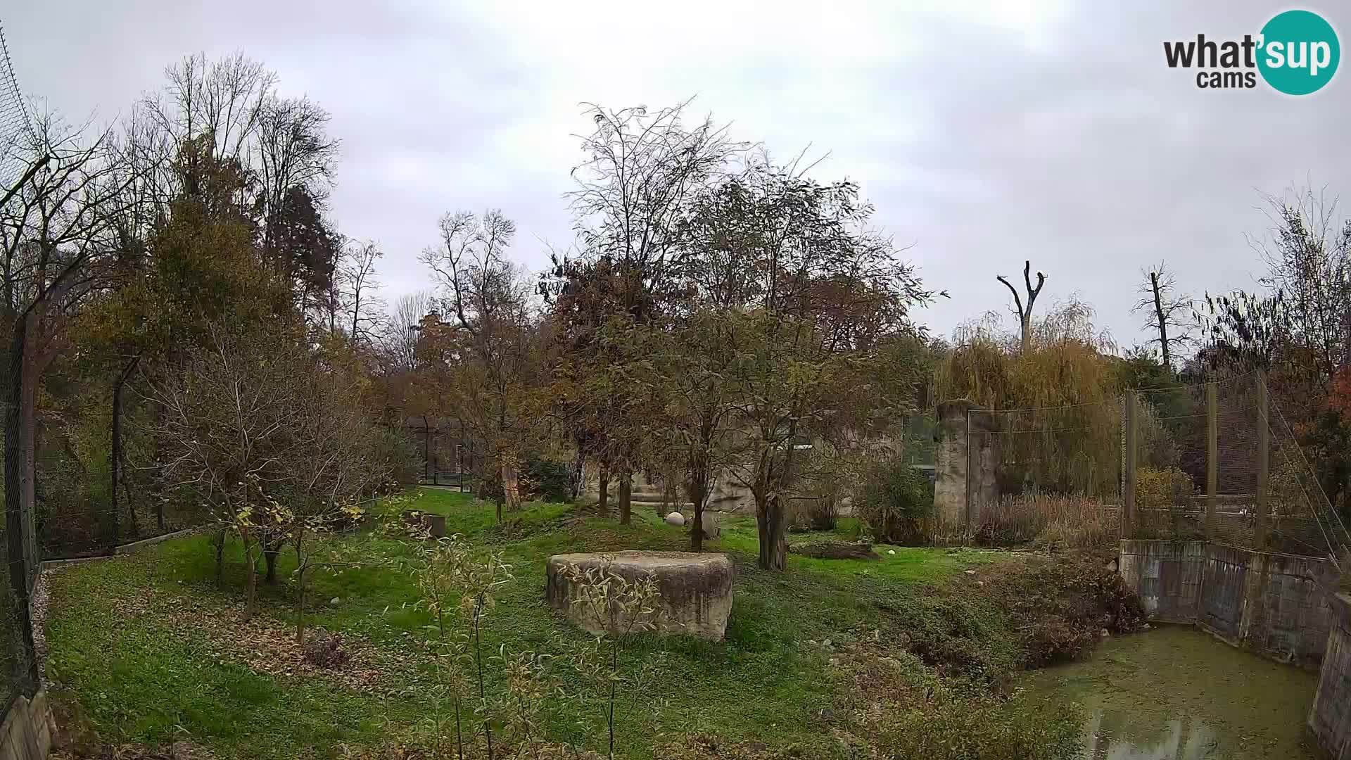 Zoo Zagreb – Leones