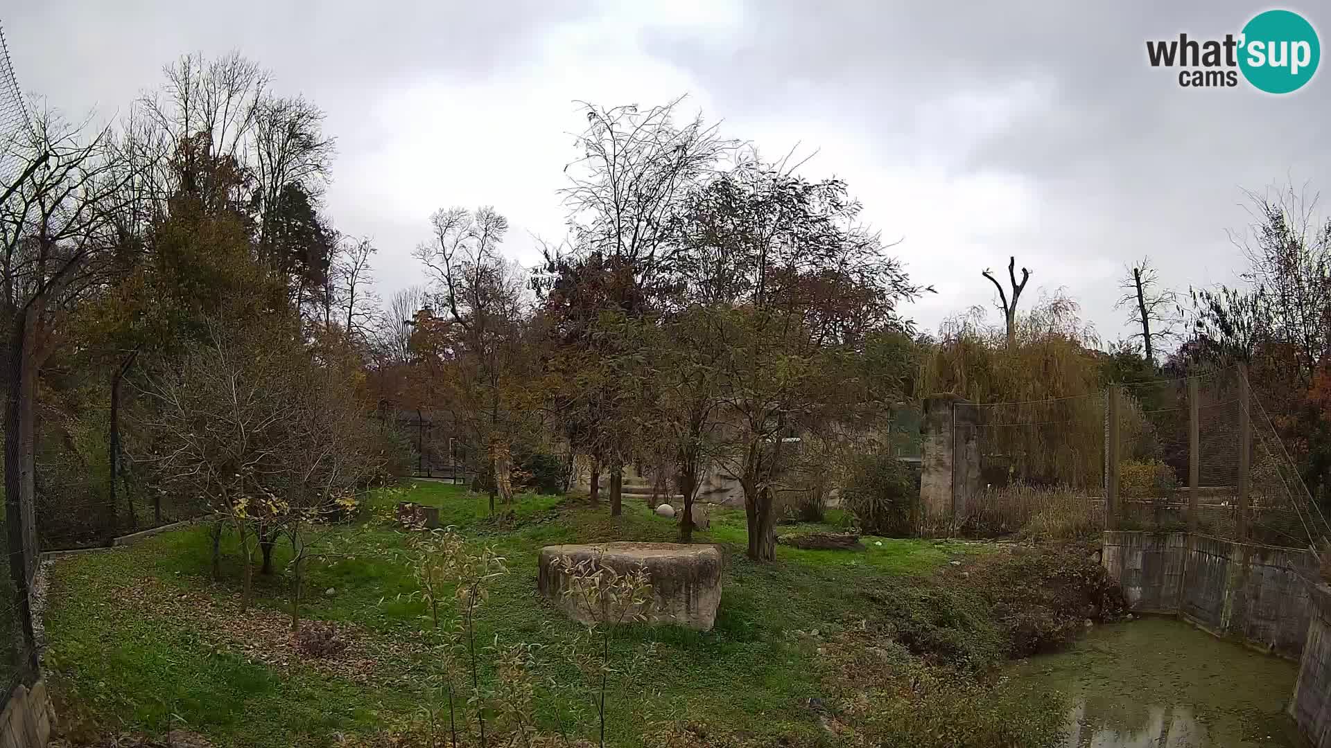 Zoo Zagreb – Löwen