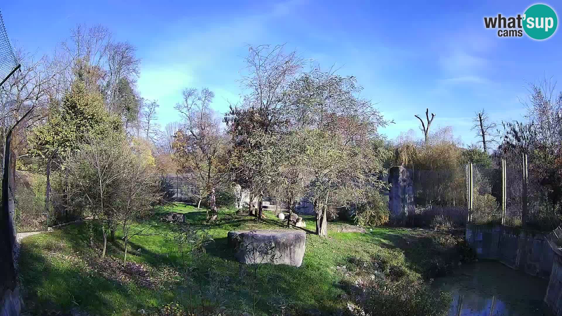 Zoo Zagreb – Leoni