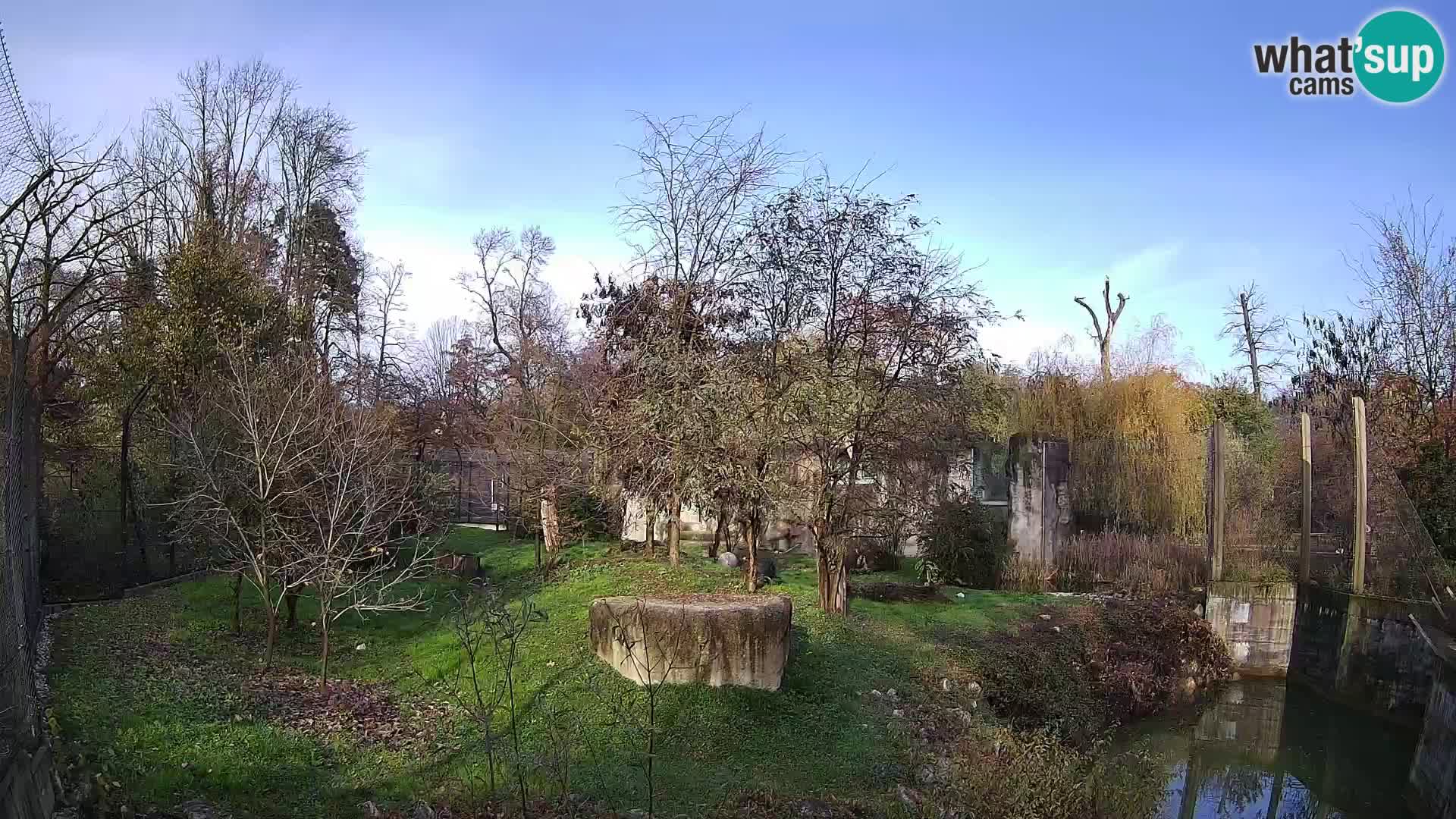 Zoo Zagreb – Löwen