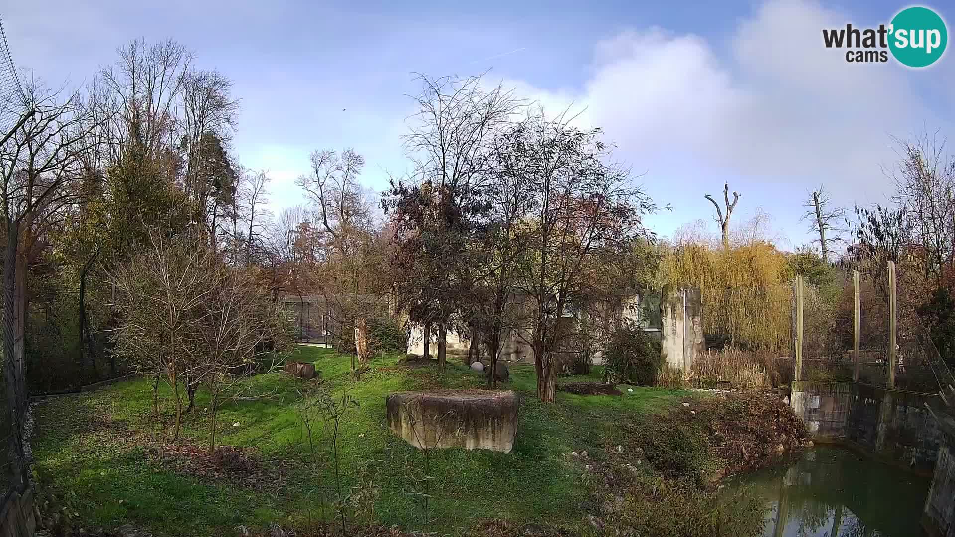 Zoo Zagreb – Löwen