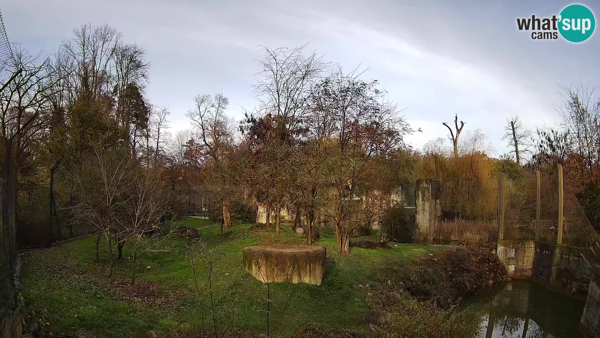 Zoo Zagreb – Löwen