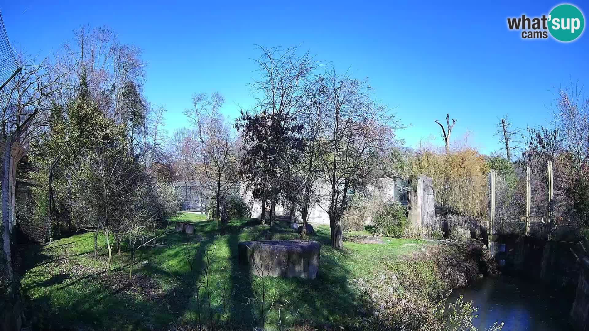 Zoo Zagreb – Löwen