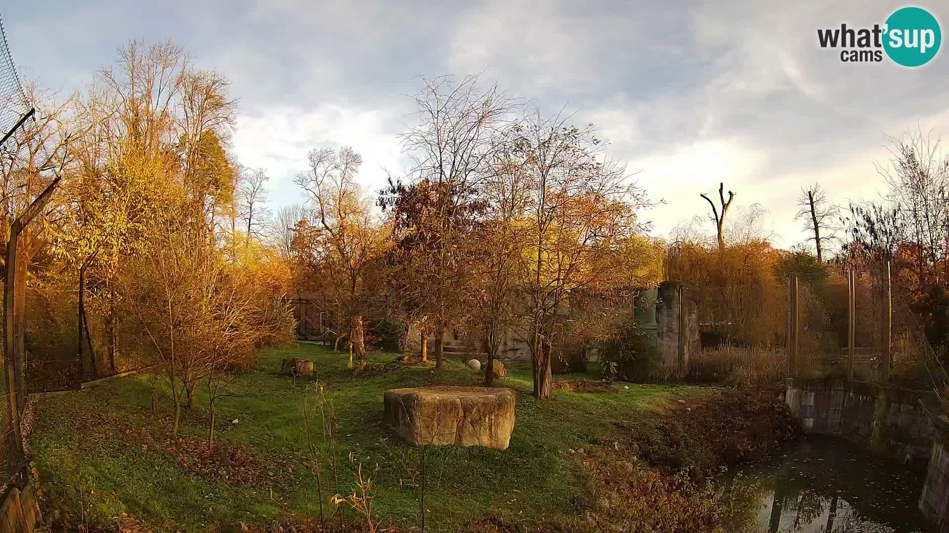 Zoo Zagreb – Leones