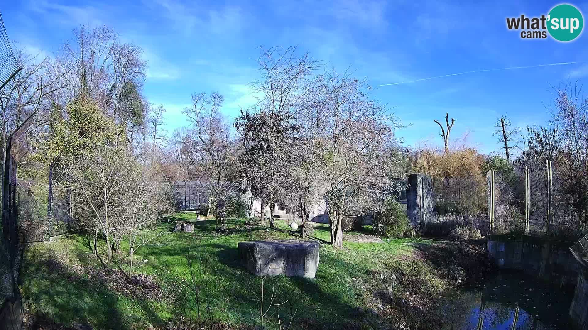 Zoo Zagreb – Löwen