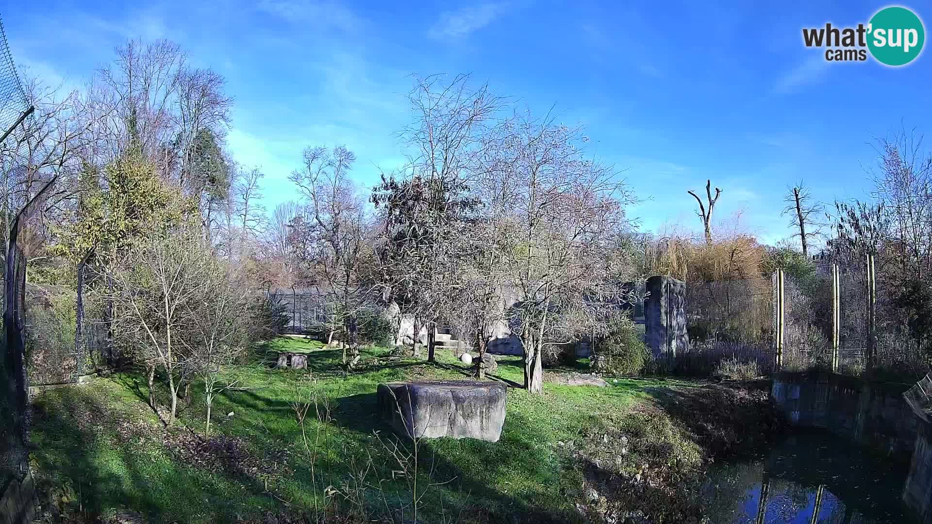 Zoo Zagreb – Löwen