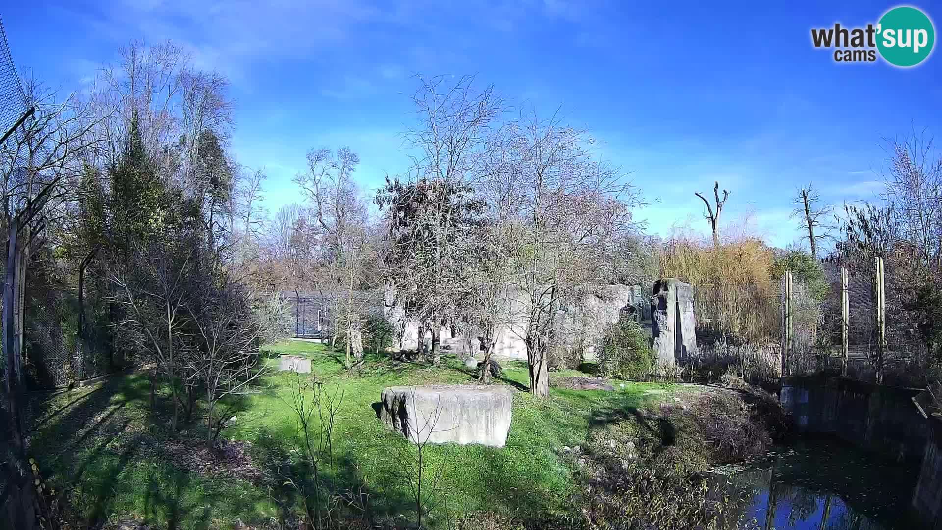 Zoo Zagreb – Löwen