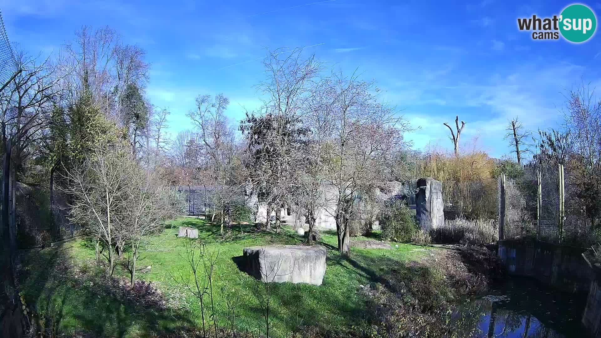 Zoo Zagreb – Löwen