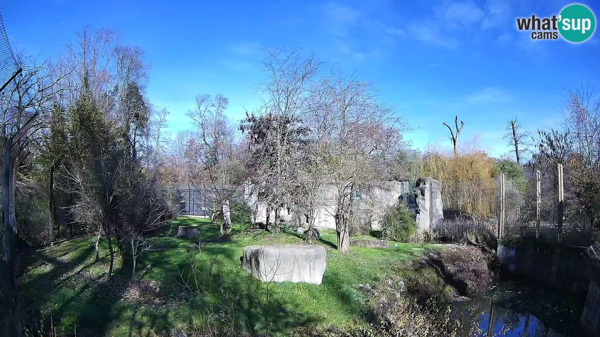 Zoo Zagreb – Löwen