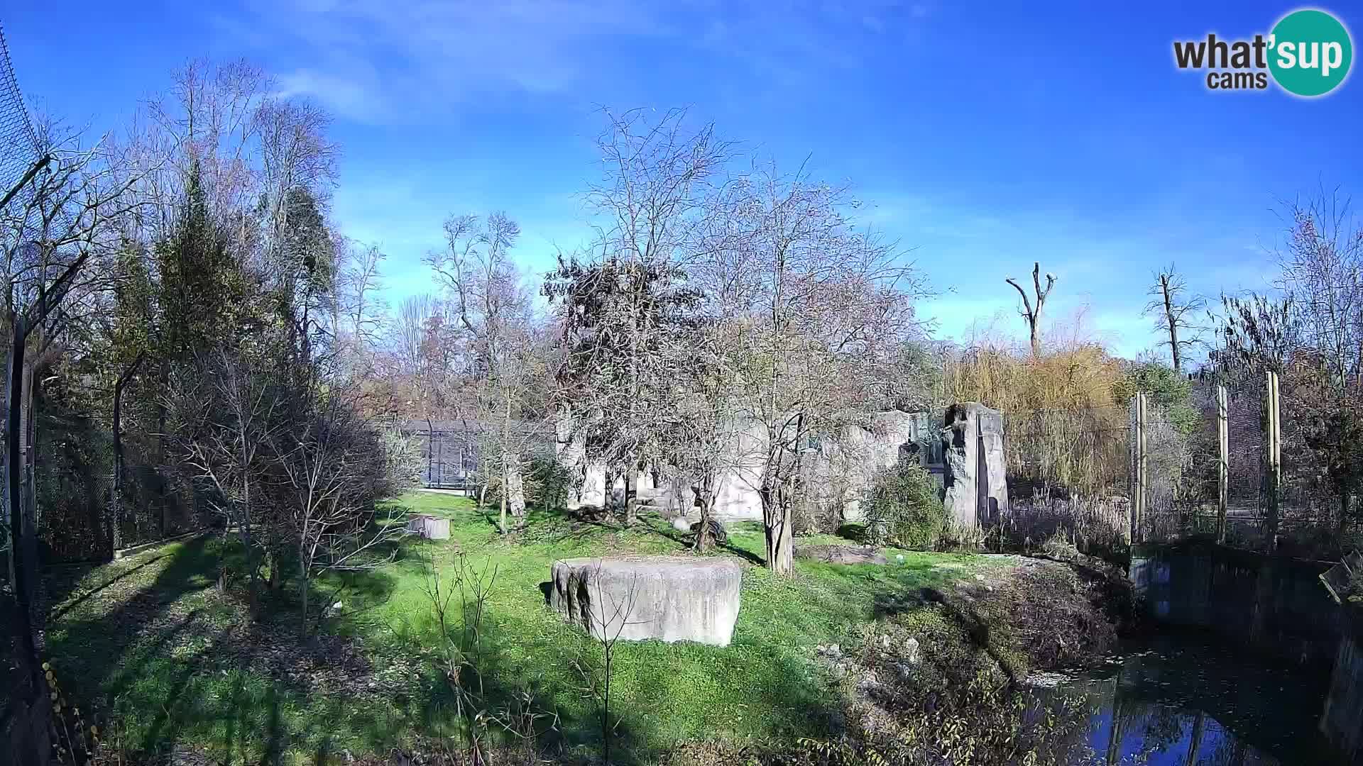 Zoo Zagreb – Löwen