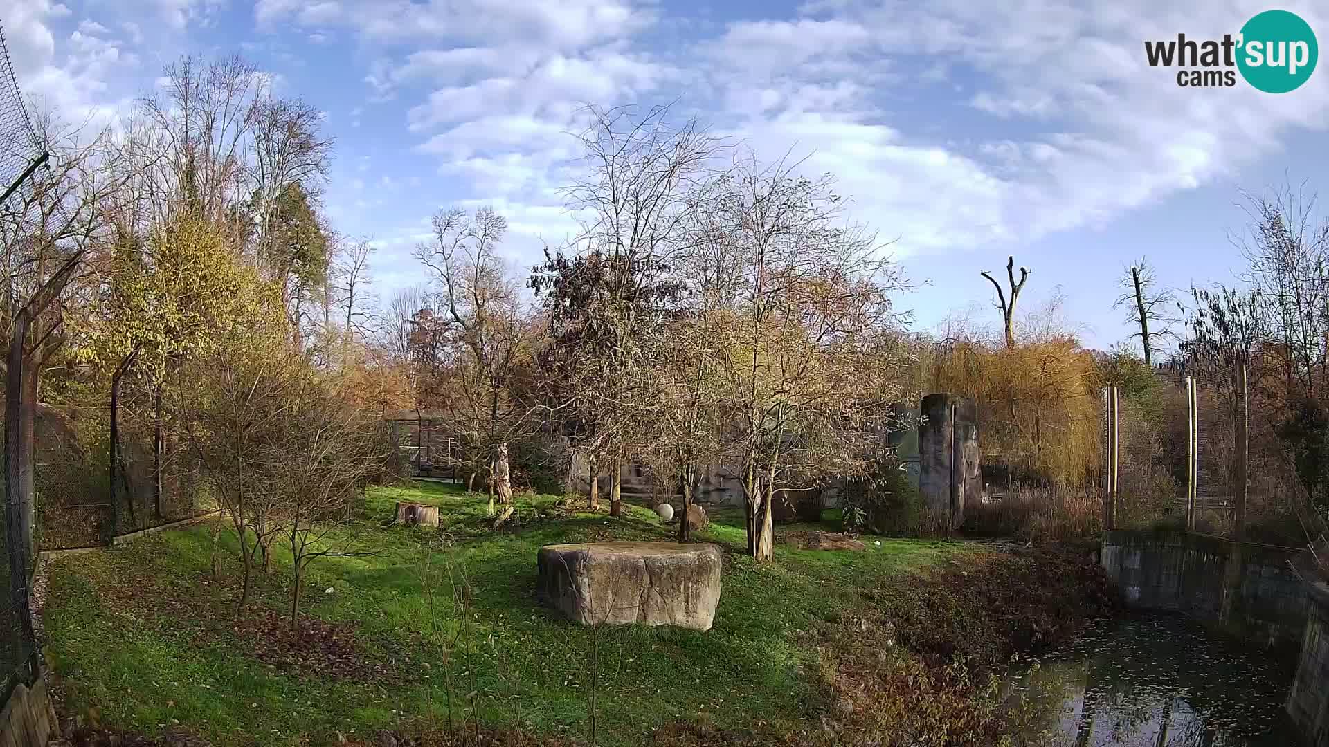 Zoo Zagreb – Löwen