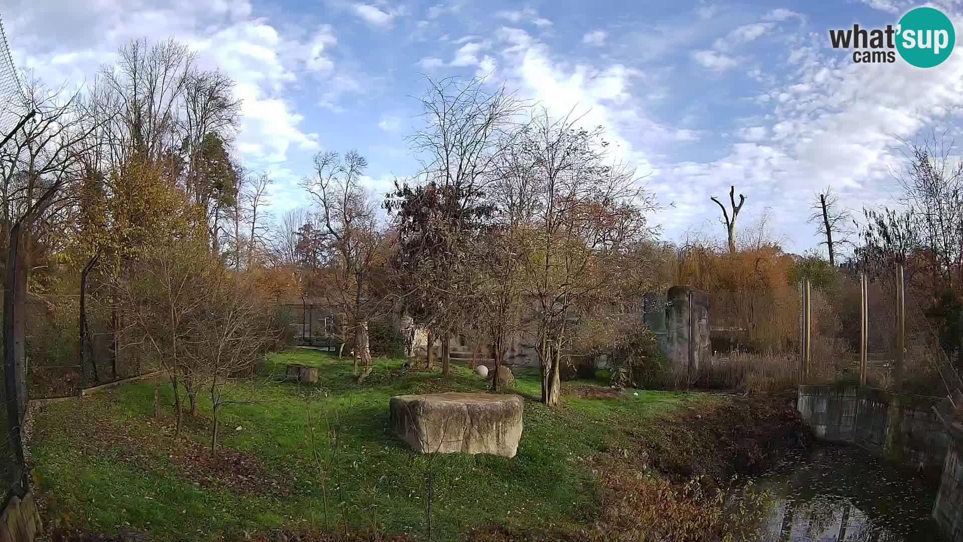 Zoo Zagreb – Leoni