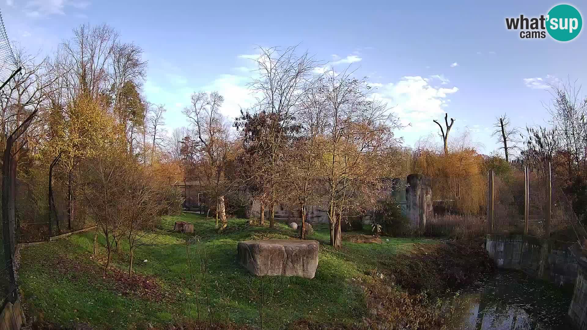 Zoo Zagreb – Löwen