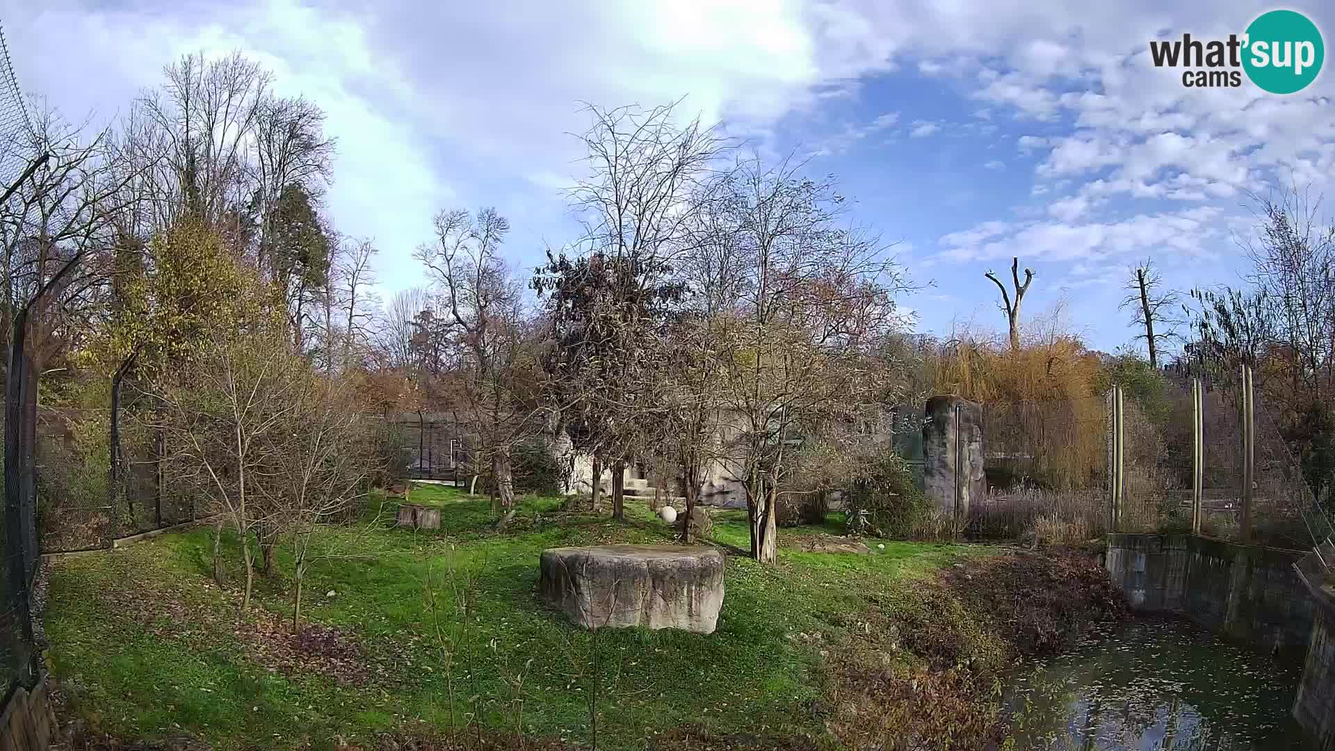 Spletna kamera Zoo Zagreb – Levi