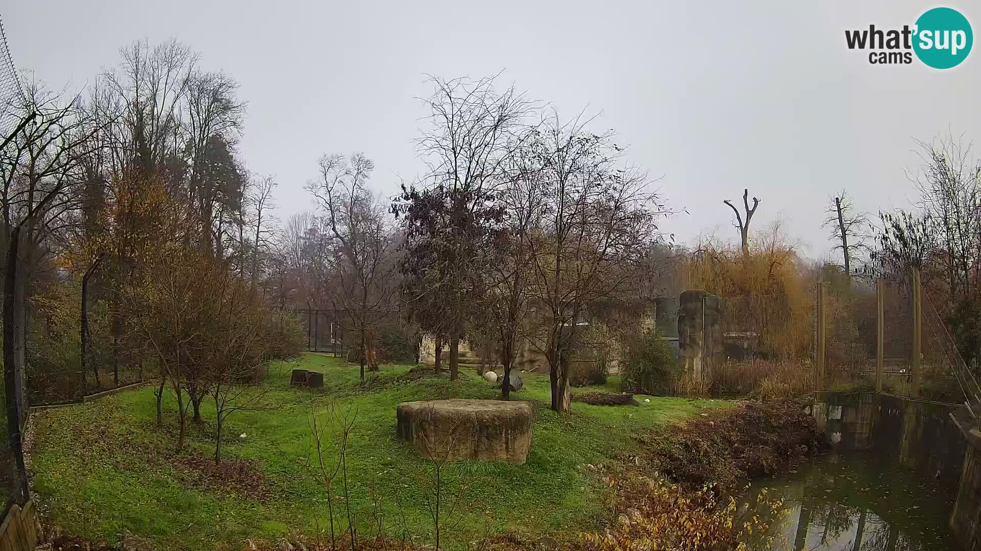 Zoo Zagreb – Leoni