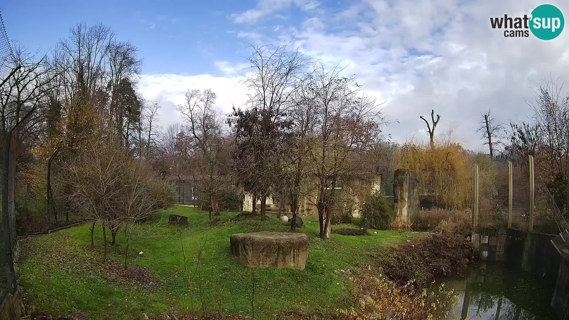 Zoo Zagreb – Löwen