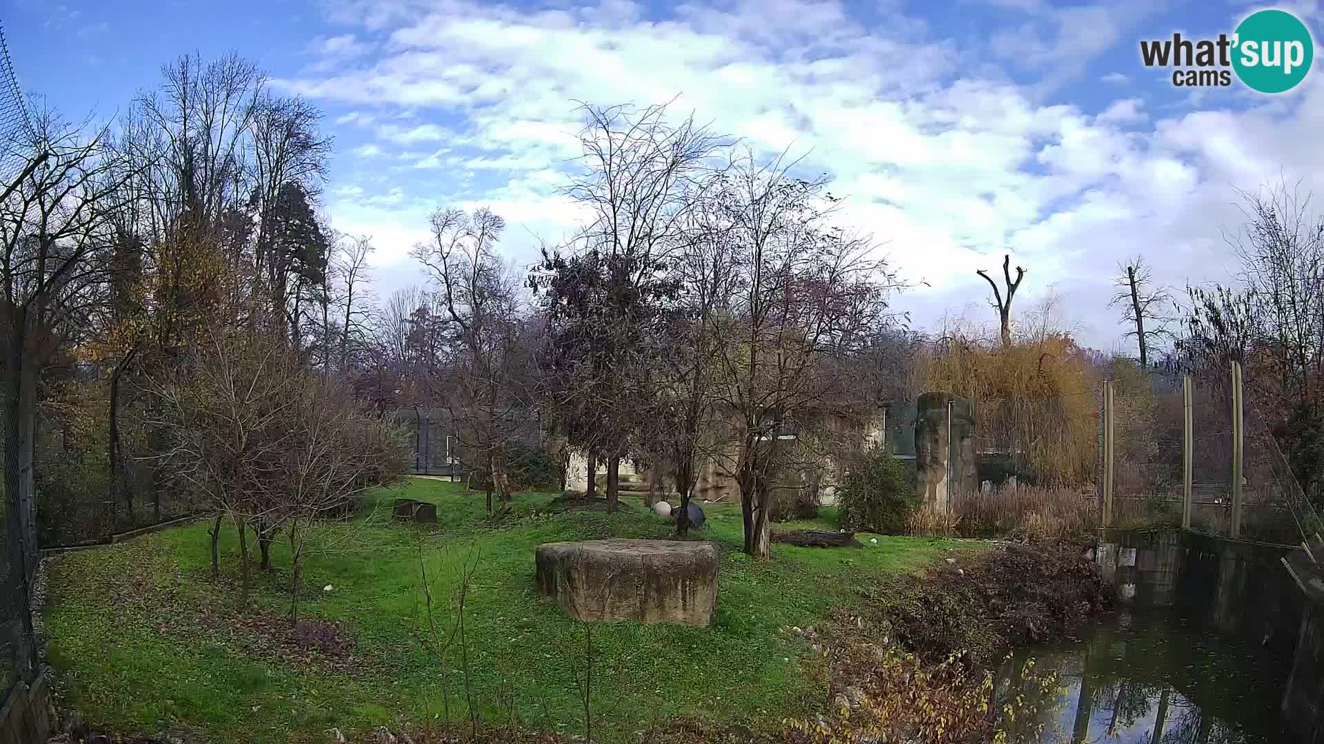 Zoo Zagreb – Löwen