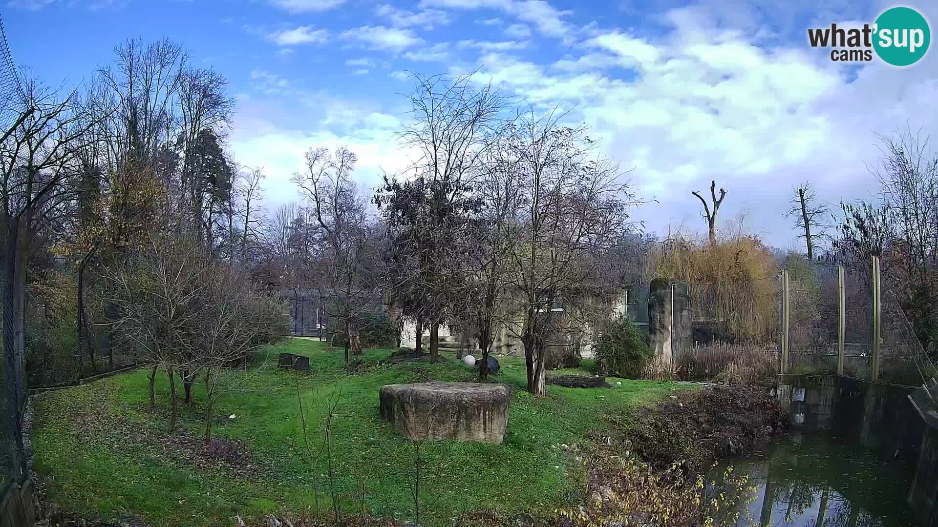 Zoo Zagreb – Löwen