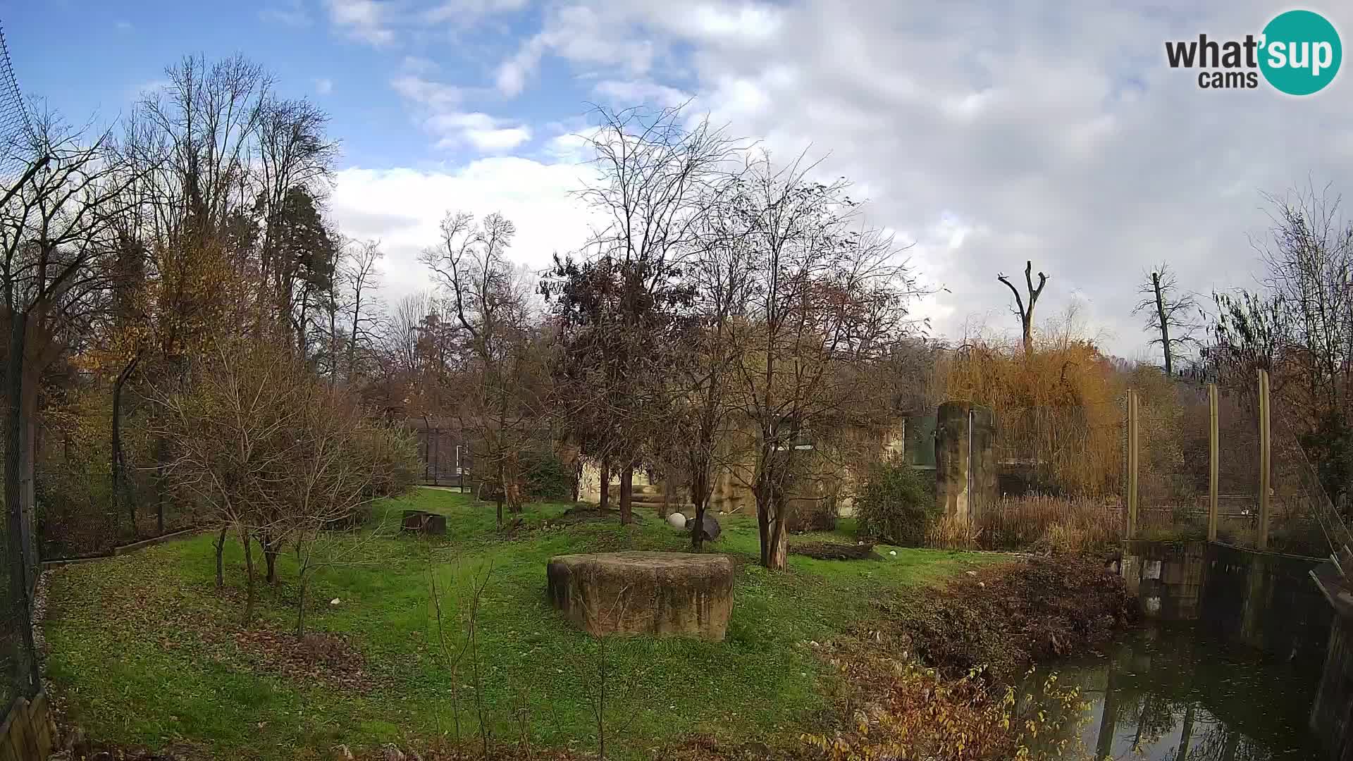 Zoo Zagreb – Löwen