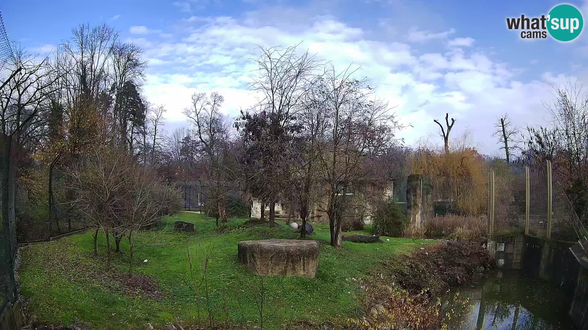 Zoo Zagreb – Löwen