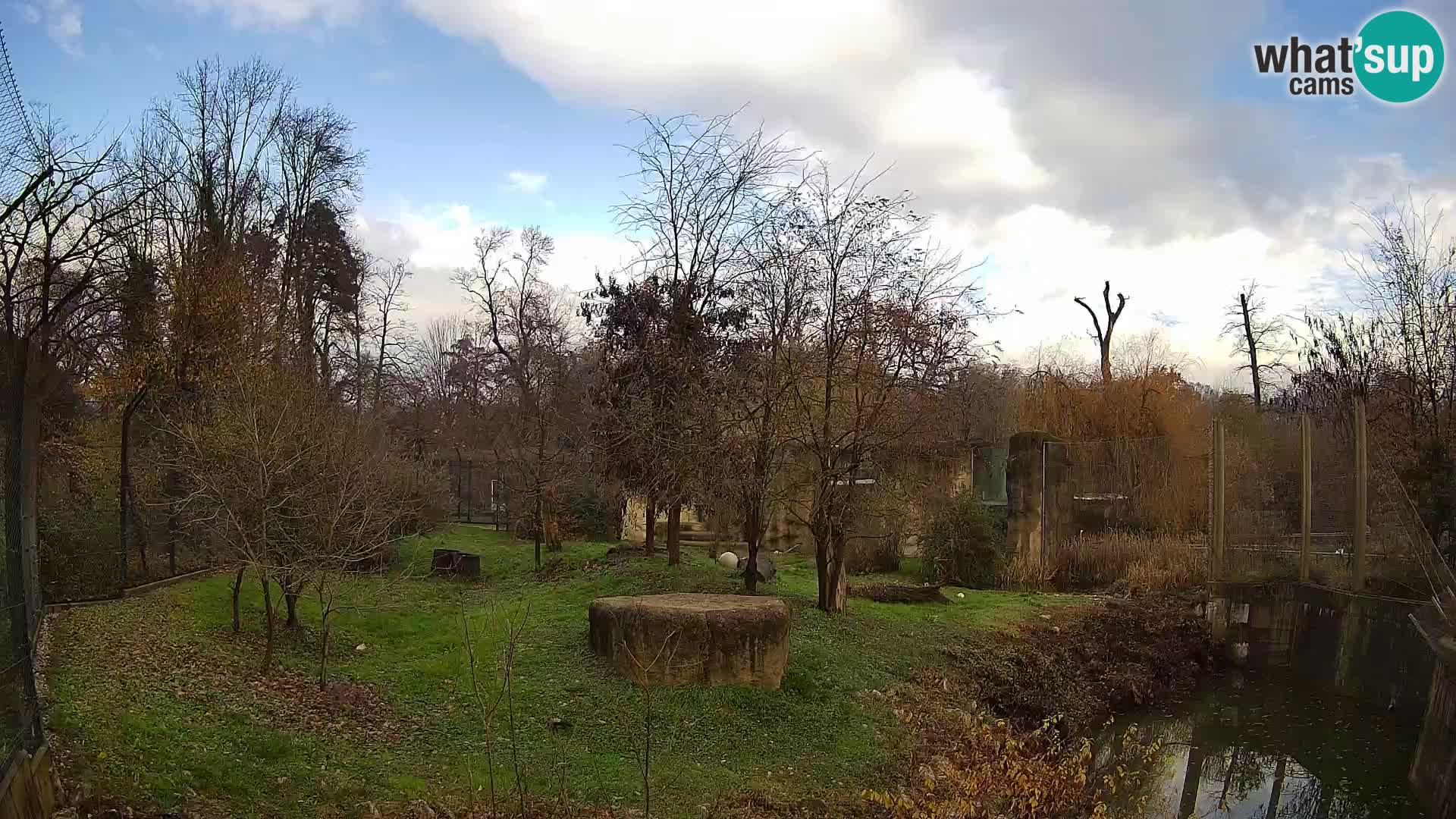 Zoo Zagreb – Löwen