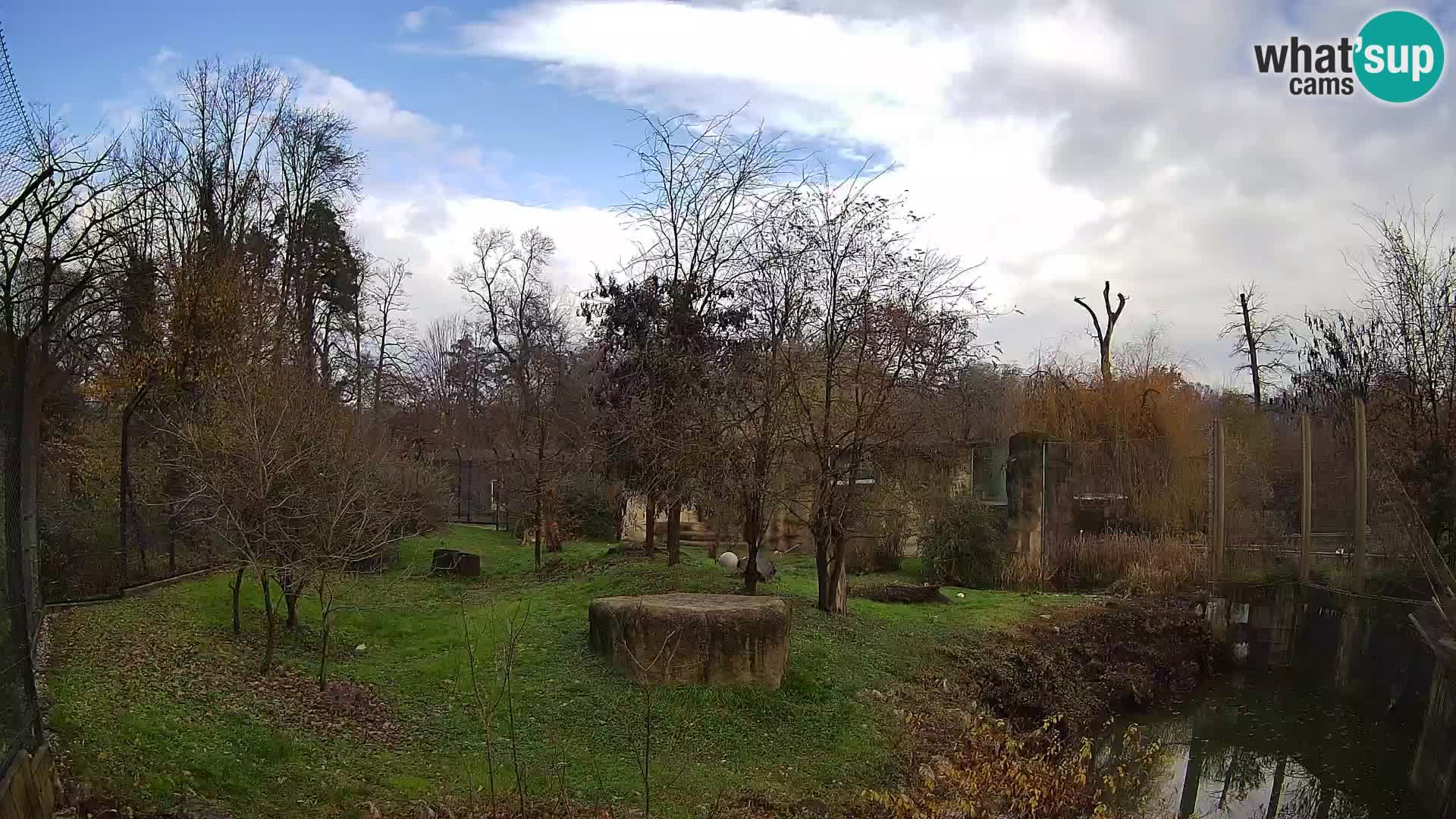 Zoo Zagreb – Löwen