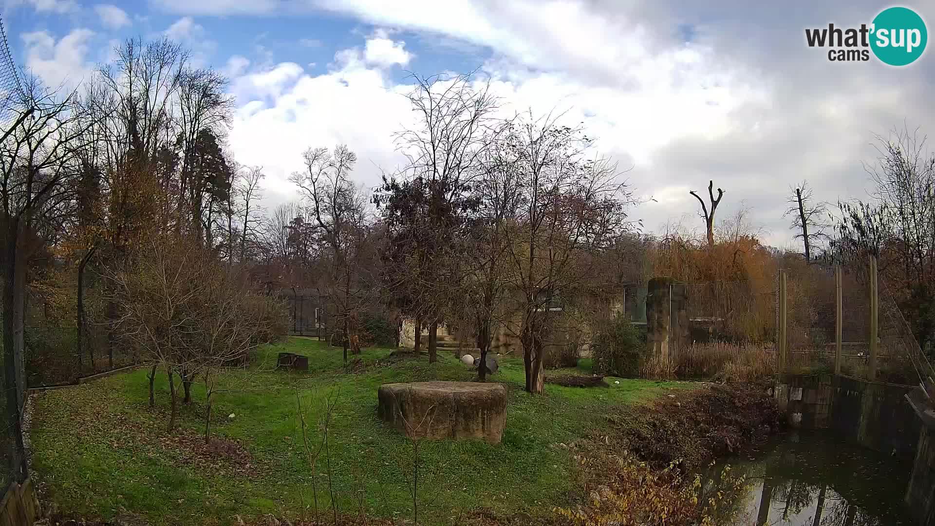 Zoo Zagreb – Löwen