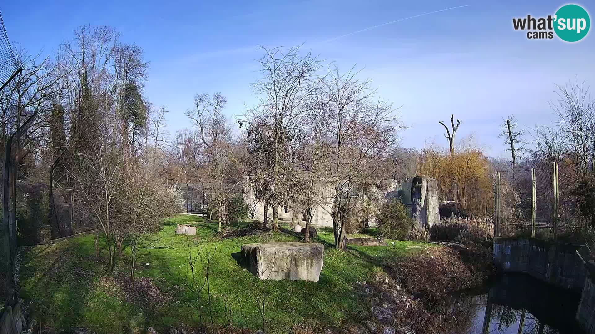 Spletna kamera Zoo Zagreb – Levi