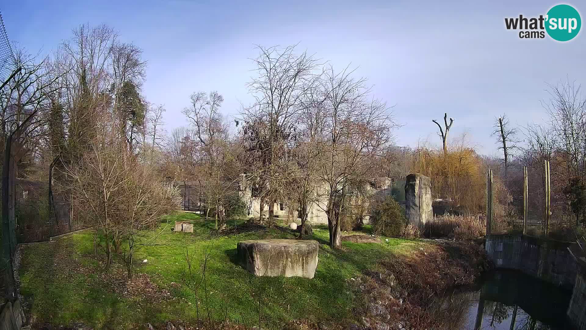 Zoo Zagreb – Löwen