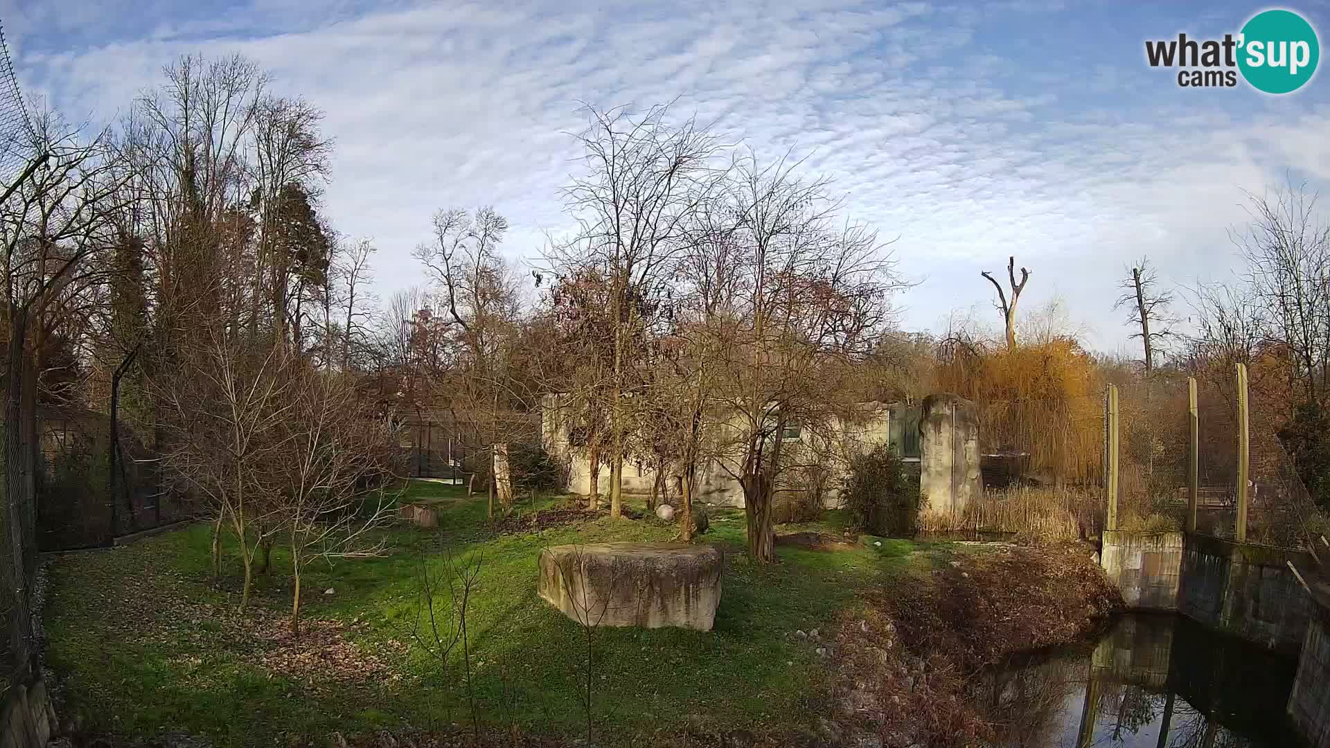 Zoo Zagreb – Lavovi