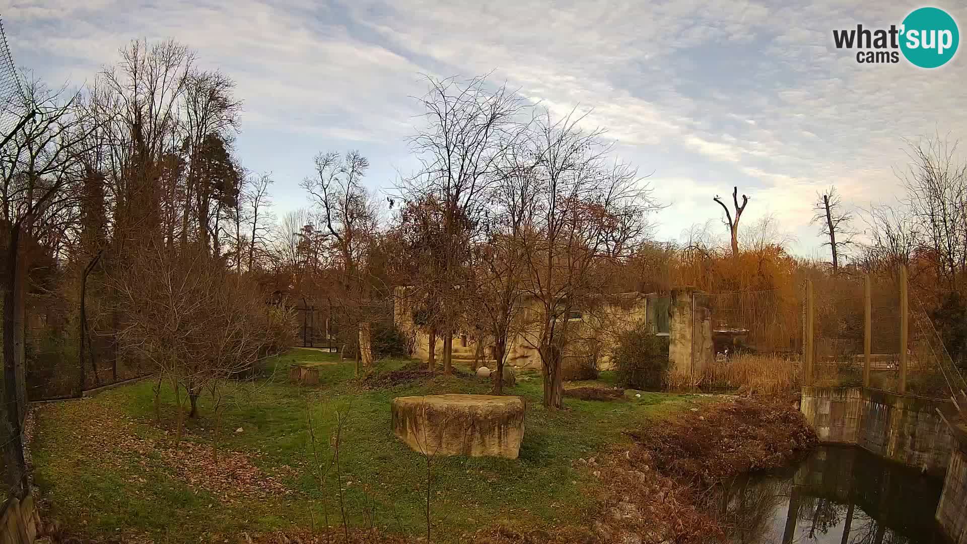 Zoo Zagreb – Löwen