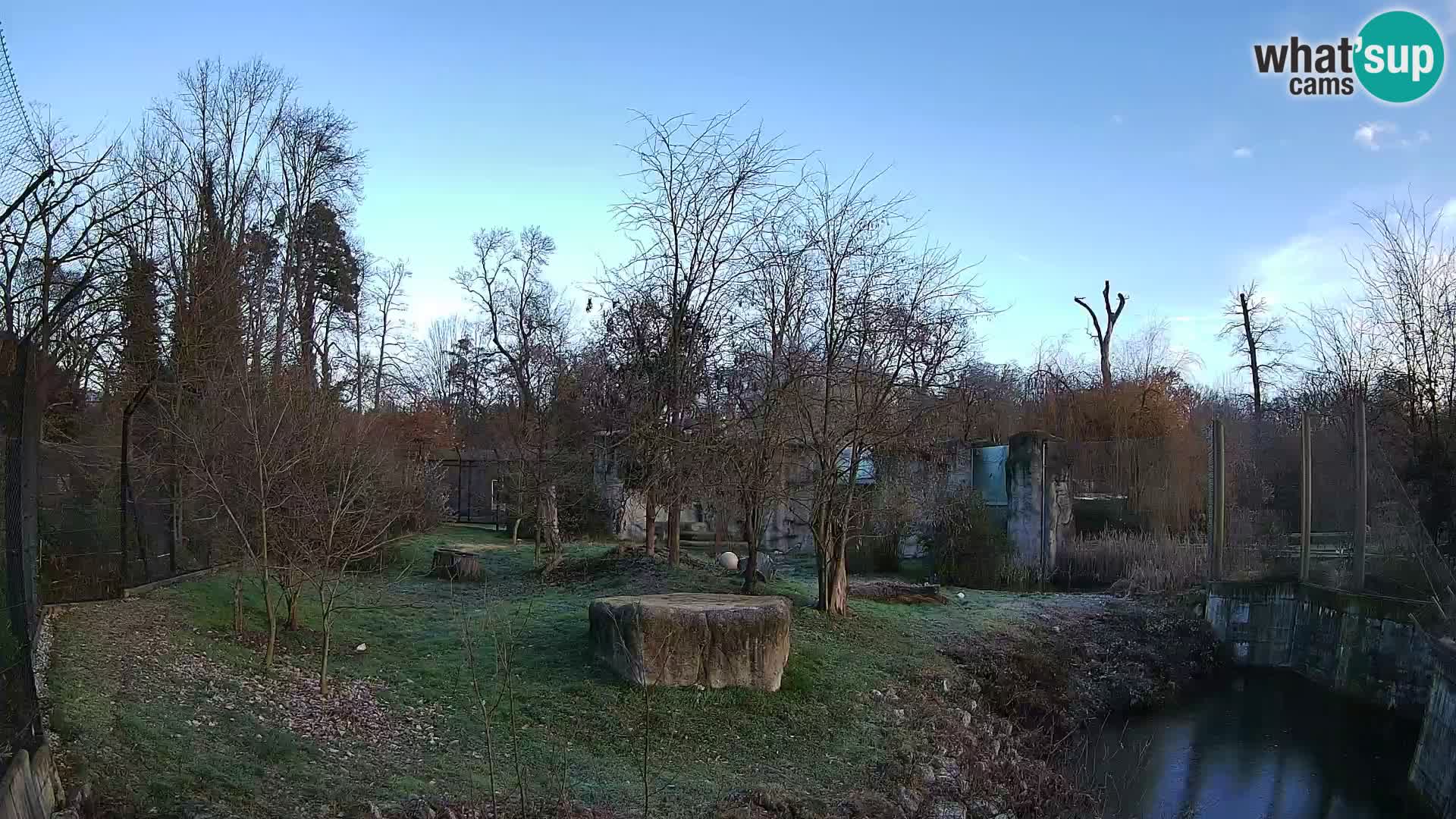 Zoo Zagreb – Lion