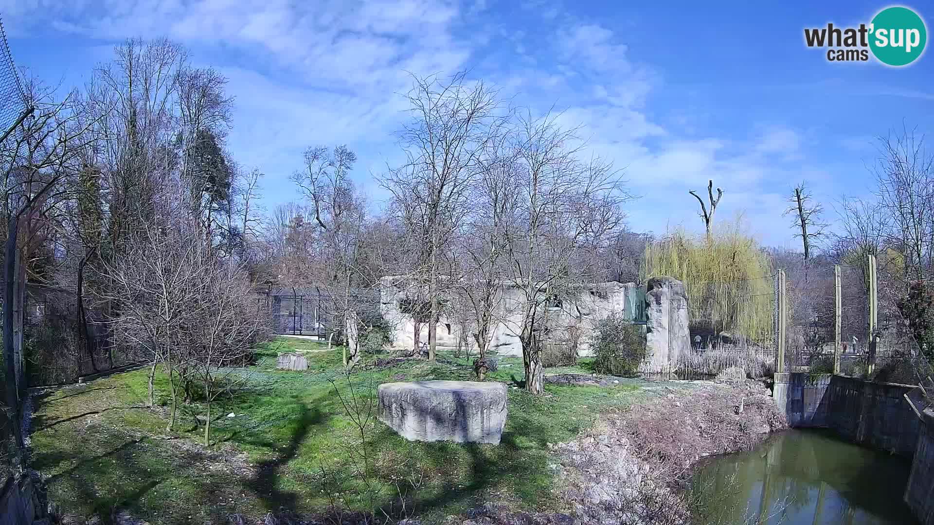 Zoo Zagreb – Löwen