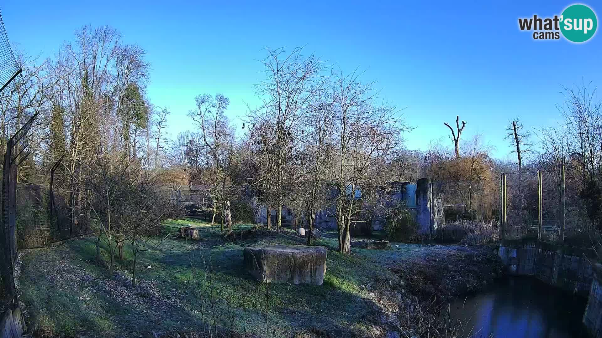 Zoo Zagreb – Löwen