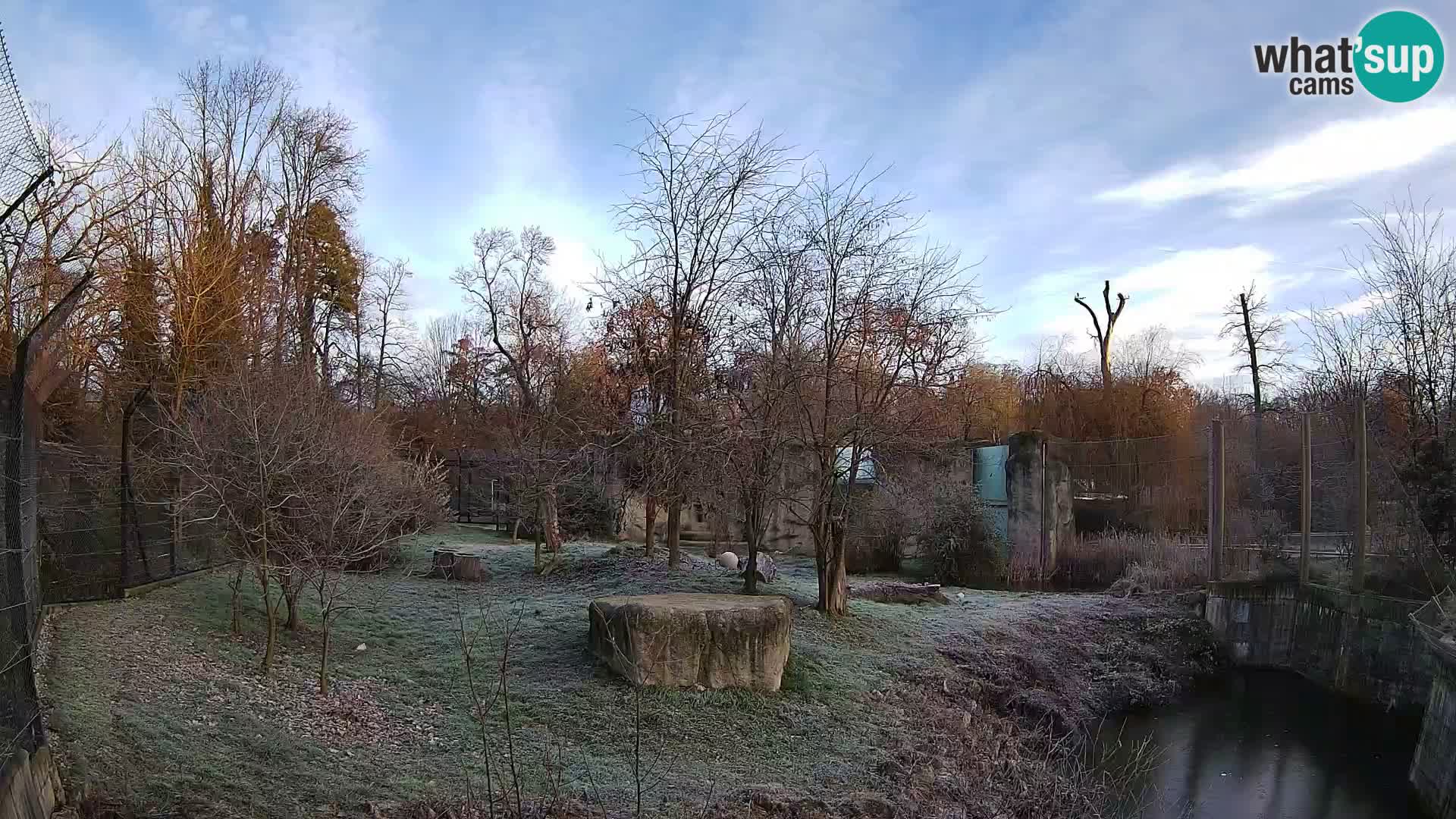 Zoo Zagreb – Löwen