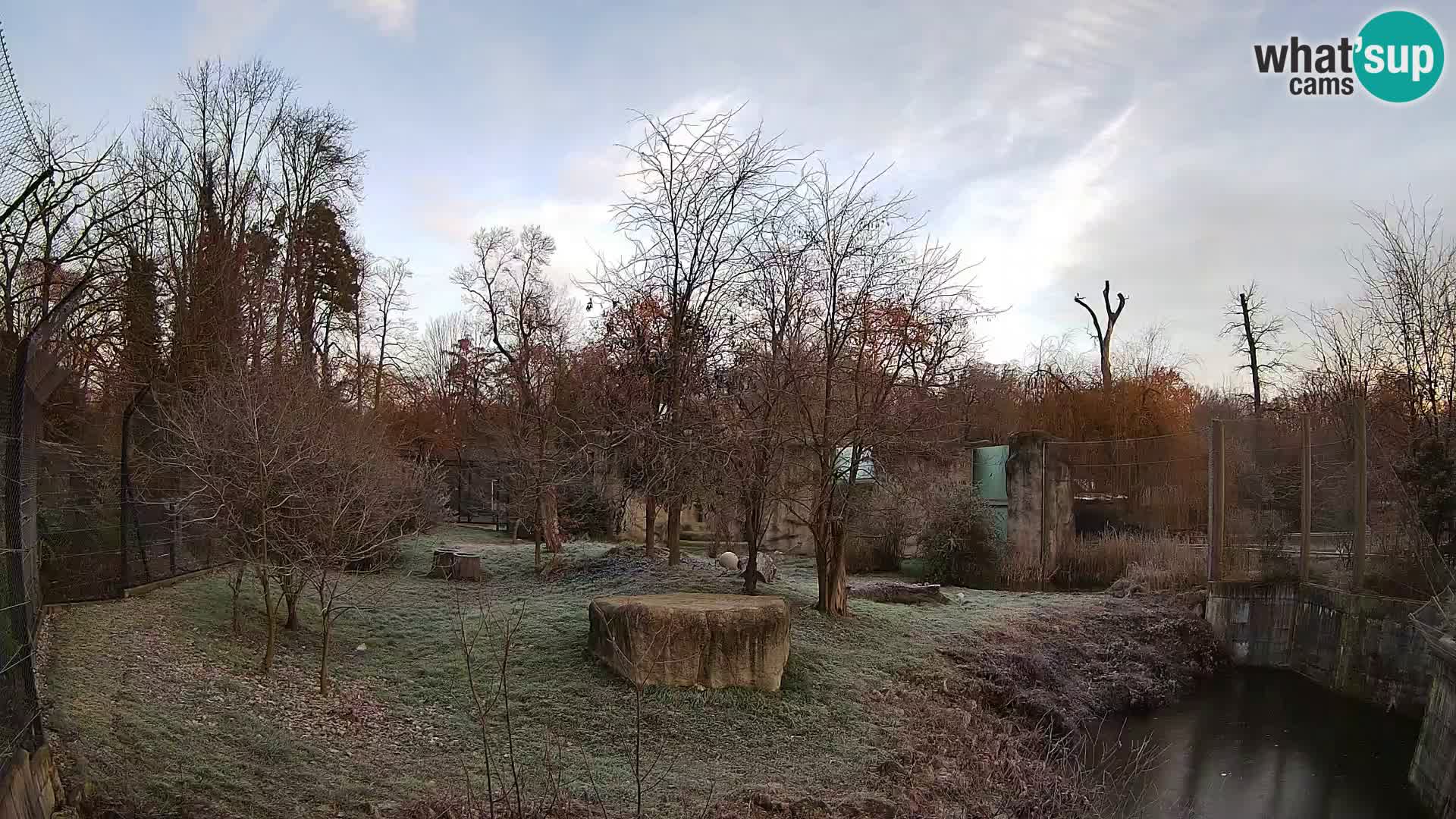 Zoo Zagreb – Löwen