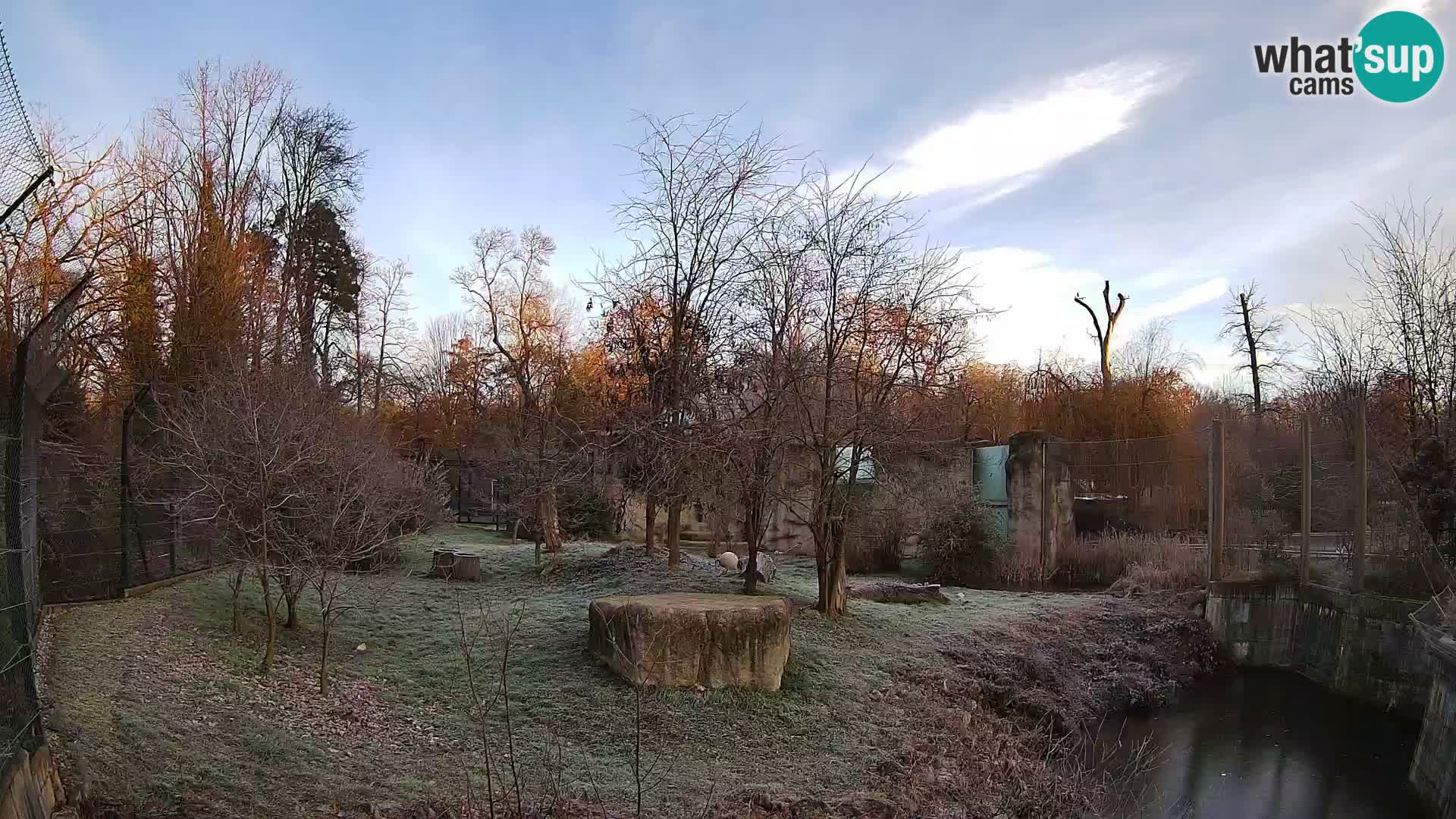 Zoo Zagreb – Lion