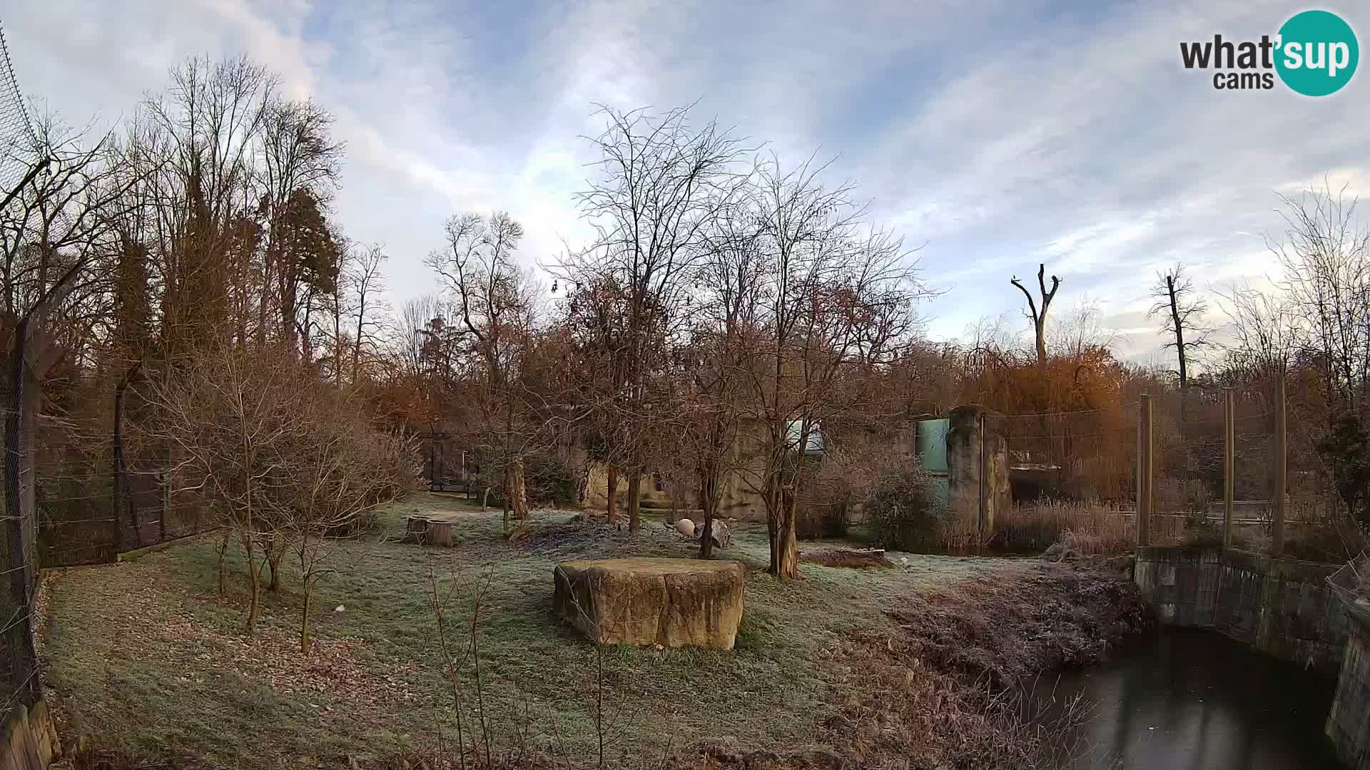 Spletna kamera Zoo Zagreb – Levi