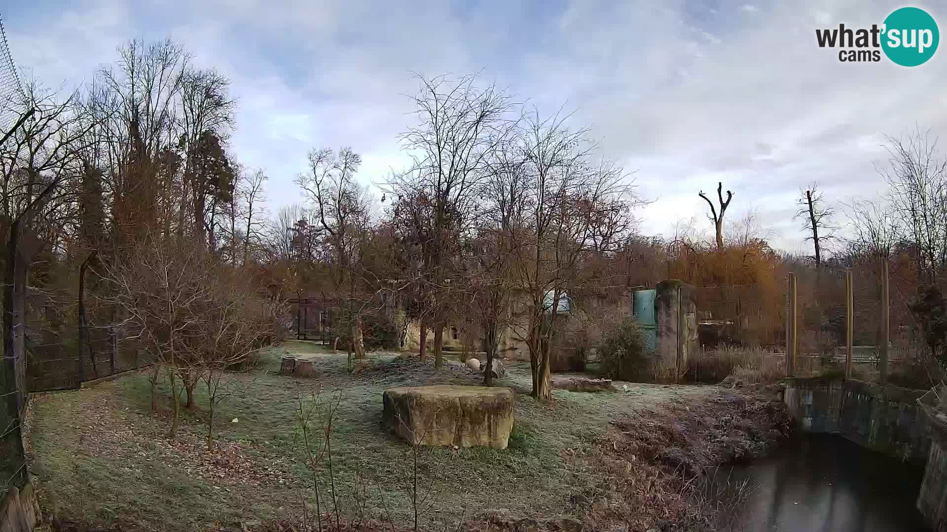 Zoo Zagreb – Löwen