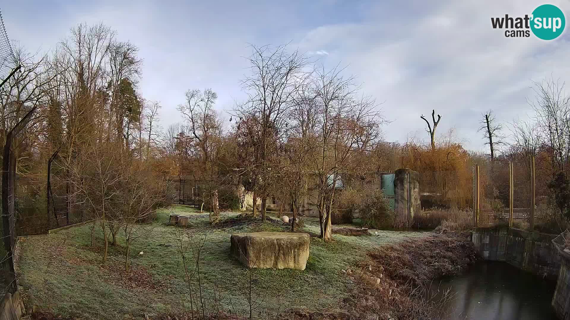 Zoo Zagreb – Lion