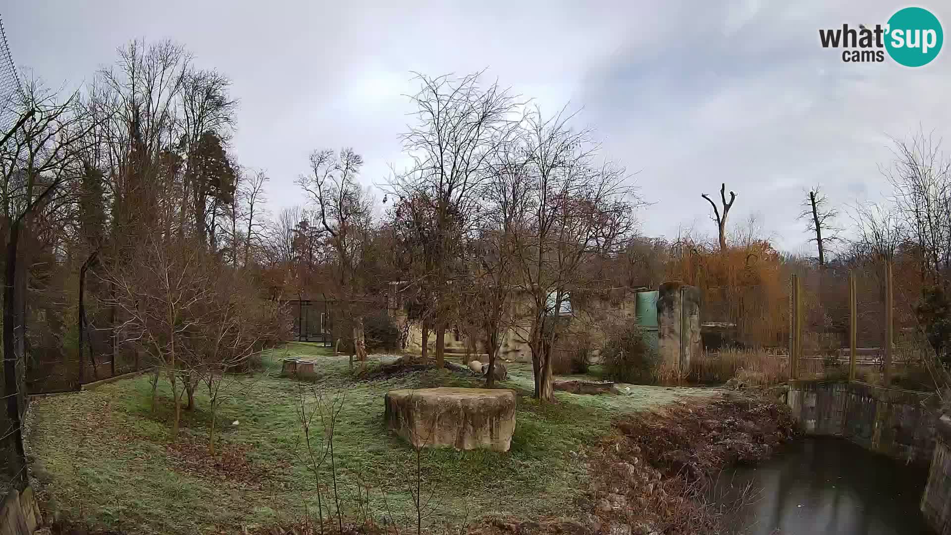 Zoo Zagreb – Löwen