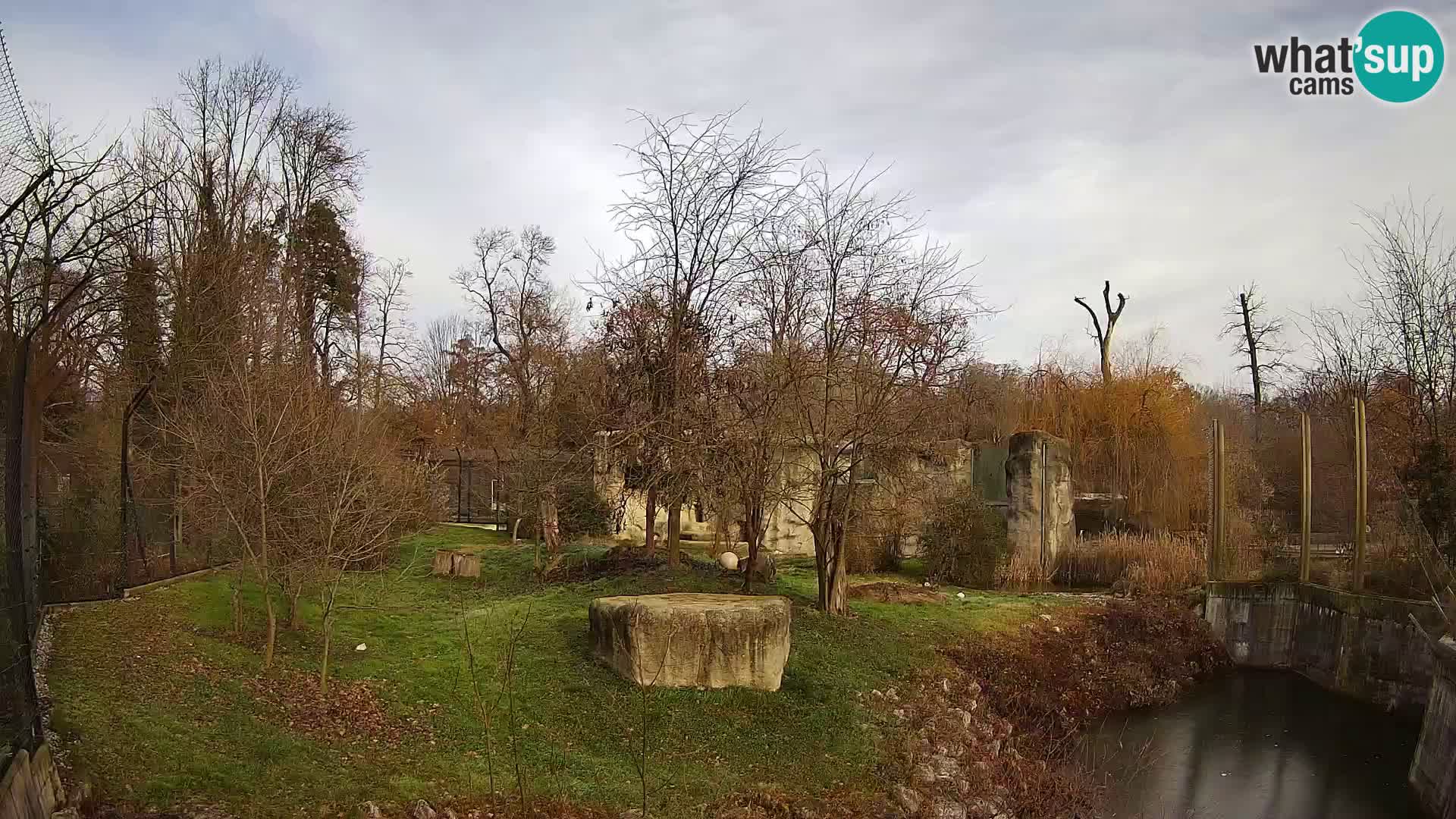 Zoo Zagreb – Löwen