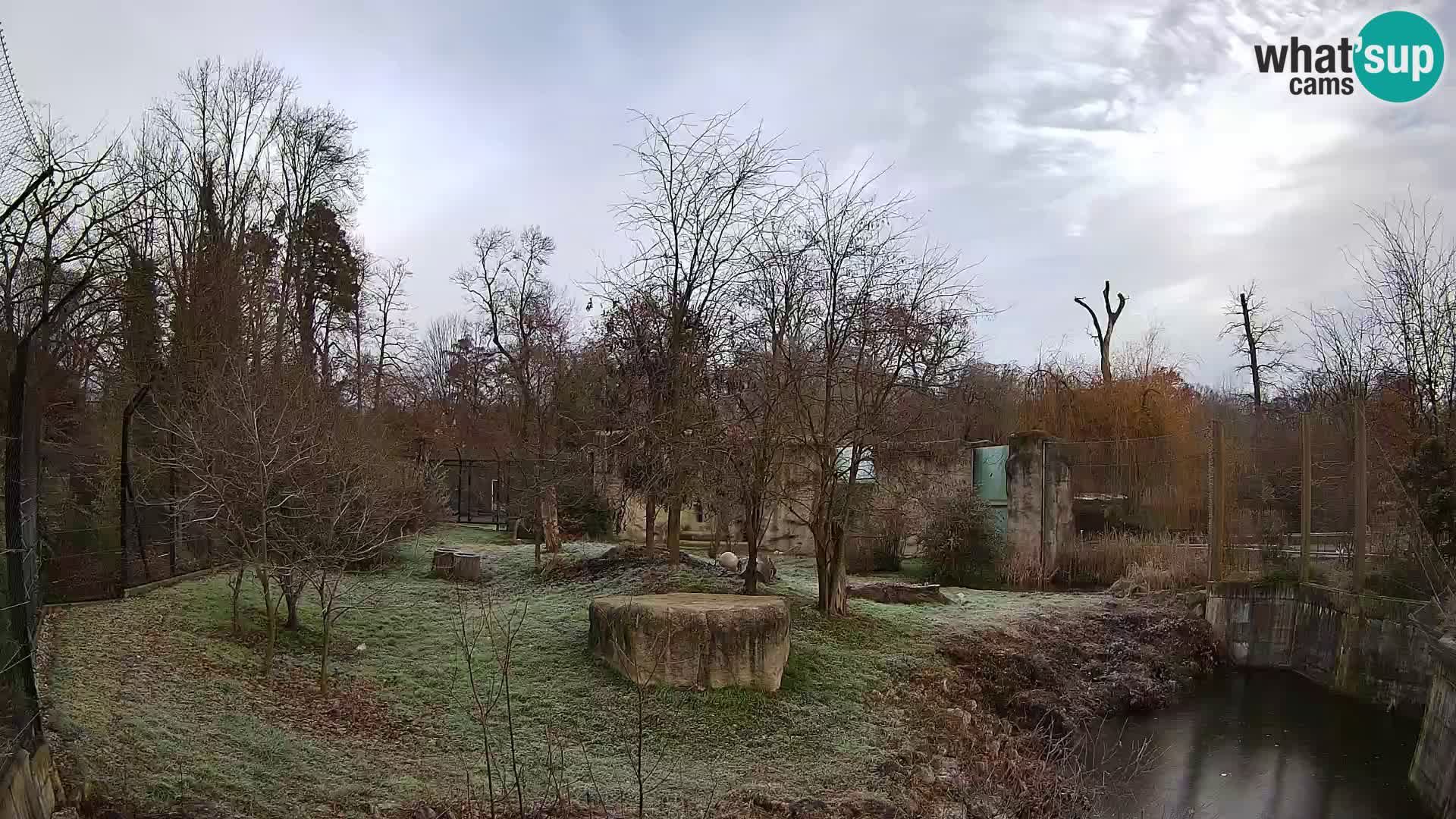 Zoo Zagreb – Löwen