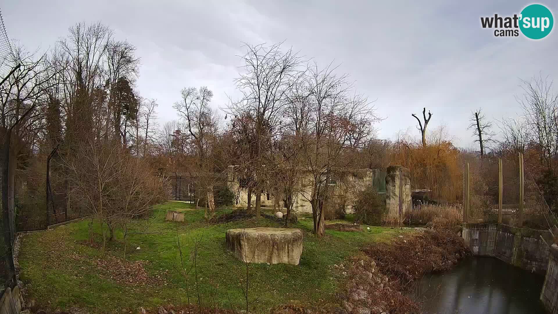 Zoo Zagreb – Löwen